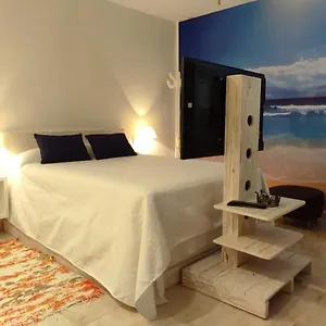 pardelo.in-canary-islands.com/